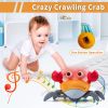 Escape Crab Rechargeable Electric Pet Musical Toys Children'S Toys Birthday Gifts Interactive Toys Learn To Climb Toys